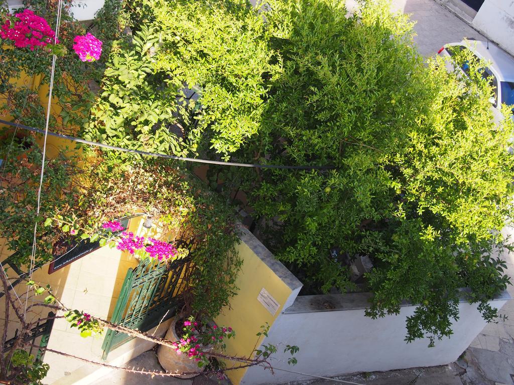 Prokimea Seaview Apartments Lefkada City Ngoại thất bức ảnh